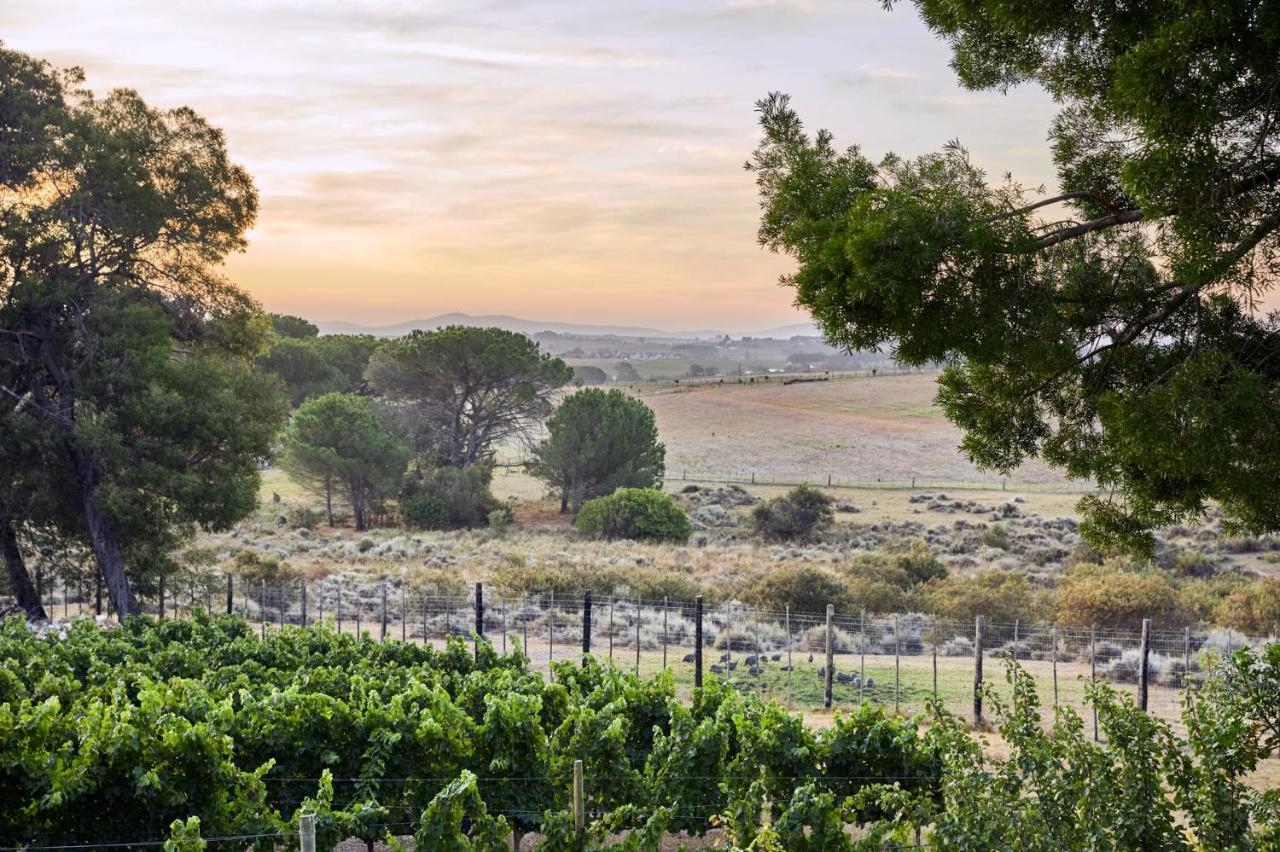 Deux Freres Wine Estate & Luxury Villas Stellenbosch Kültér fotó