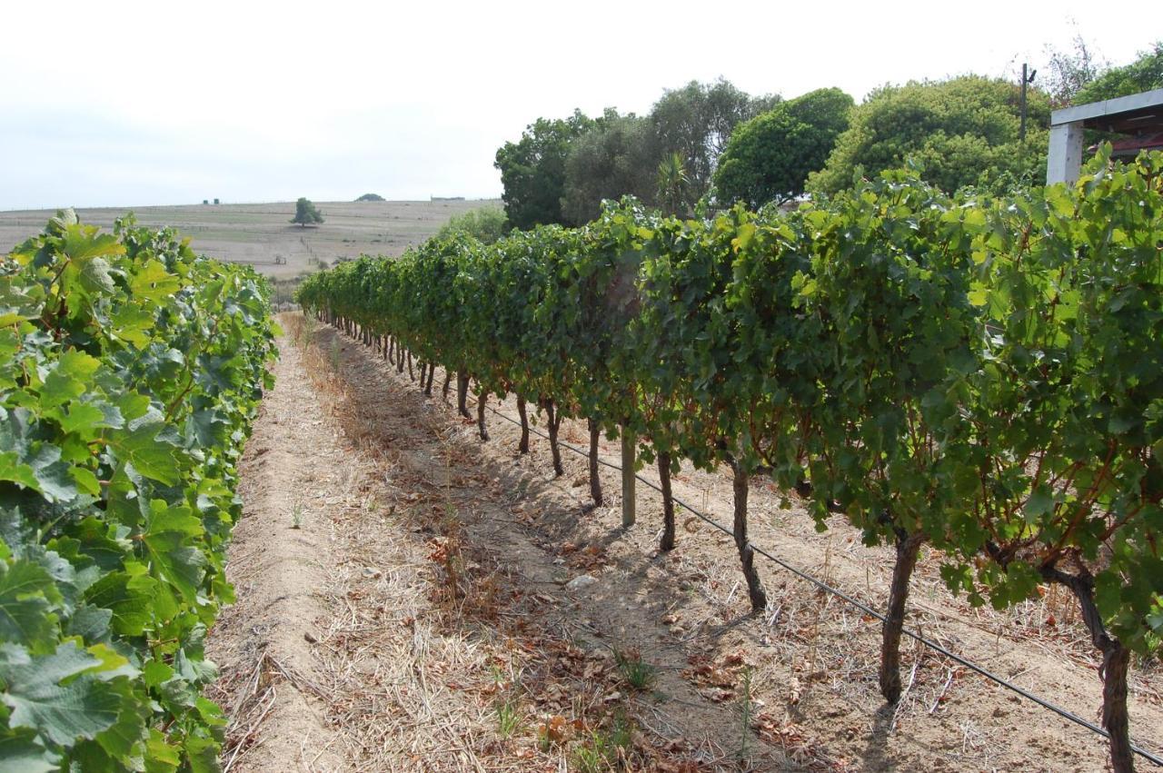 Deux Freres Wine Estate & Luxury Villas Stellenbosch Kültér fotó