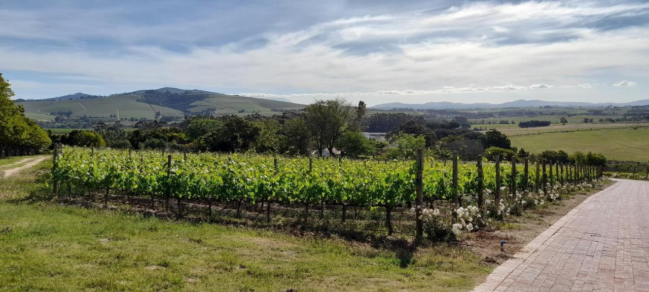 Deux Freres Wine Estate & Luxury Villas Stellenbosch Kültér fotó