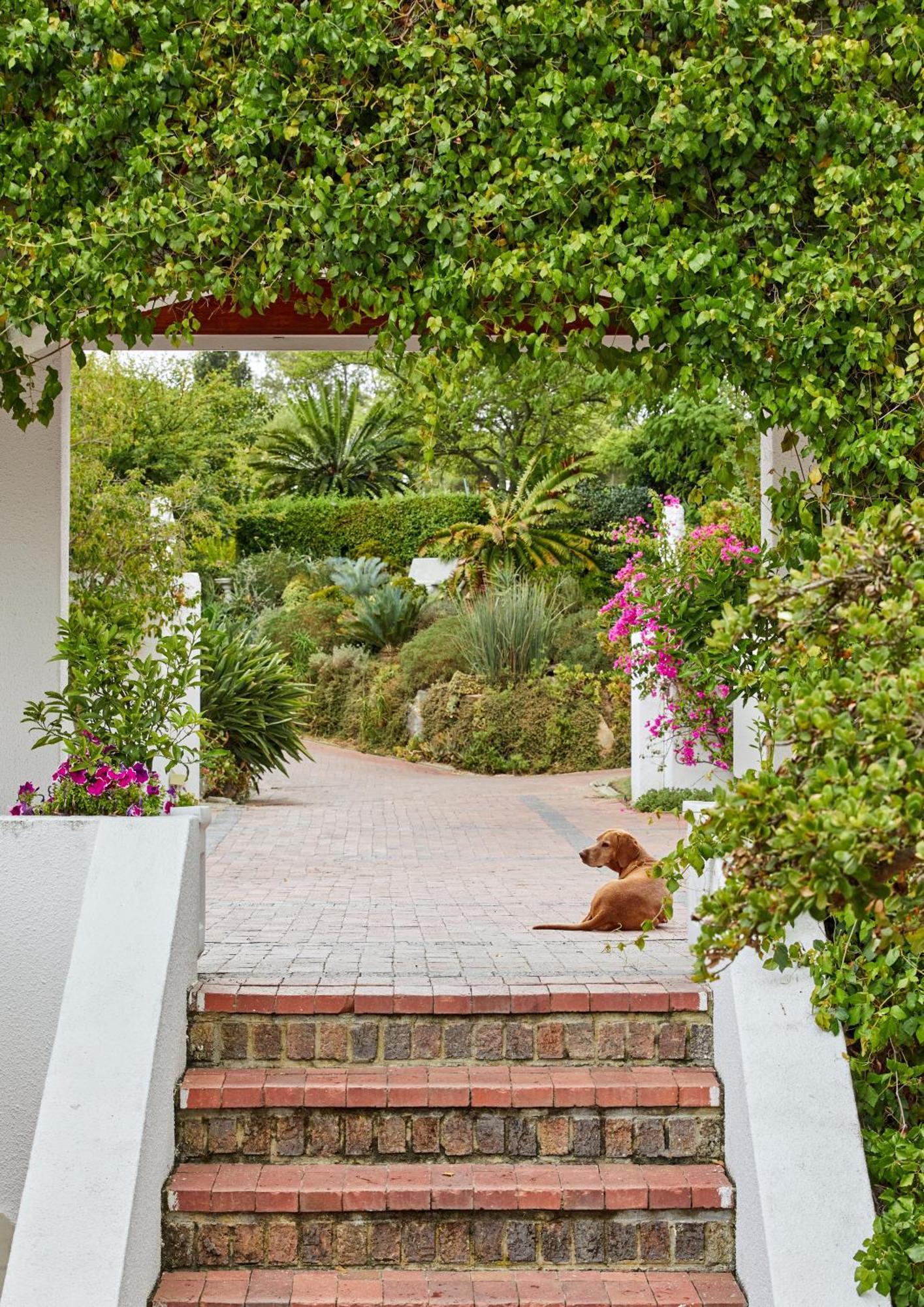 Deux Freres Wine Estate & Luxury Villas Stellenbosch Kültér fotó